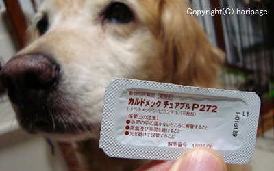 犬のフィラリアの薬の画像.png